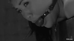 Tourniquet – Explicit PMV – White on Asian